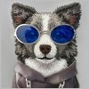 Etui Nimmy Glasses Cool Dog do iPhone 17 szary